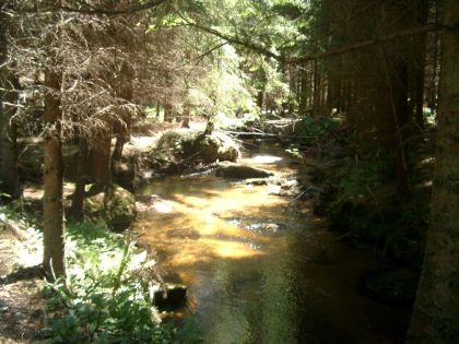 Kamp-Bärnkopf-Sommer-Landschaft
