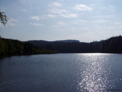 Schlesingerteich Bärnkopf Landschaft Sommer