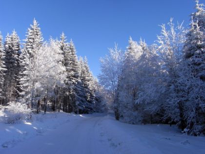 Winterlandschaft Bärnkopf 