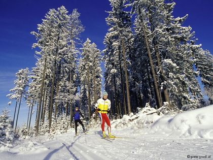 Langläufer Skating Bärnkopf