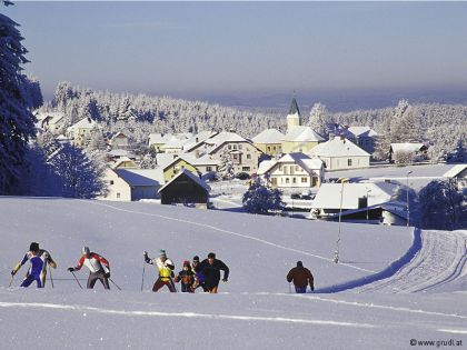 Langlaufen in Bärnkopf Ortsansicht