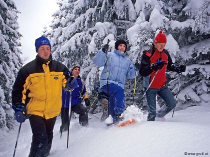 Schneeschuhwanderung Bärnkopf