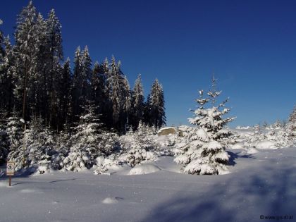 Winter Stimmung Wald Bärnkopf